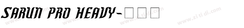 Sarun Pro Heavy字体转换
